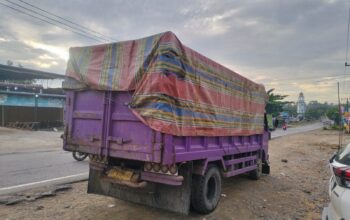 Polri Dampingi Petani: Jagung Pipil Bangko Pusako Disalurkan ke Bulog Dumai