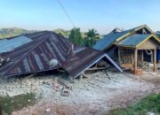 Gempa M7,7 Guncang Flores NTT, 38 Orang Tewas dan Ribuan Warga Mengungsi