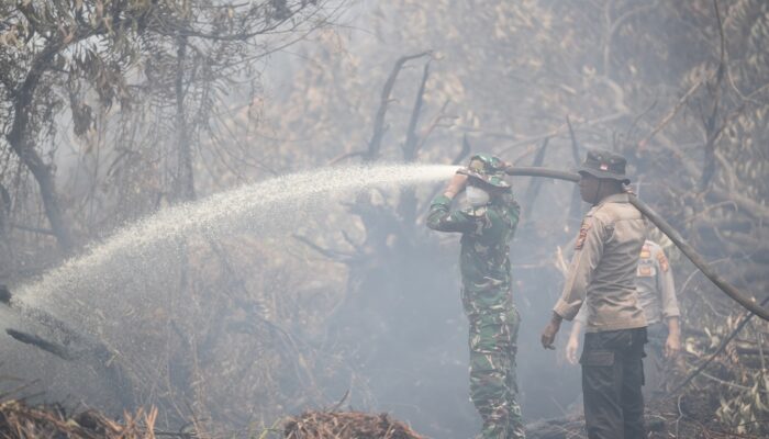 Kapolda, Pangdam Riau dan Kapolres Pelalawan Berjibaku Padamkan Api di Kerumutan