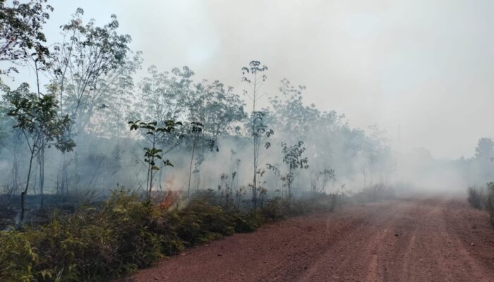 Tanggap Darurat, Satgas Yonarmed 13/Nanggala Bersama Warga Padamkan Karhutla di Badau Kapuas Hulu