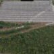 Polisi Tetapkan Penghulu Teluk Piyai Jadi Tersangka Perusakan Hutan Mangrove di Rohil