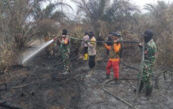 Kodam XIX Tuanku Tambusai Gerak Cepat Padamkan Karhutla di Toro Jaya