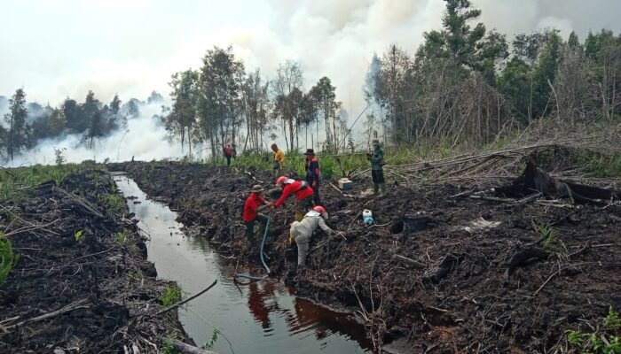 Kodam XIX Tuanku Tambusai Perkuat Pemadaman Karhutla di Bengkalis, 10 Hektare Lahan Terbakar