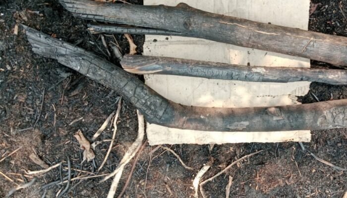 Karhutla 30 Hektare di Rohil Diduga Dipicu Rokok, Polres Rokan Hilir Naikkan Kasus ke Penyidikan