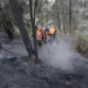 Pemerintah Kirim 1.500 Tentara Tambahan ke Kalimantan Padamkan Karhutla, Luas Terbakar Capai 200.000 Hektare