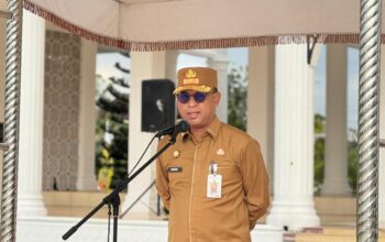 Resmi! Pemkab Rokan Hilir Keluarkan 5 Imbauan Wajib Sambut HUT RI ke-81 dan HUT Riau ke-69