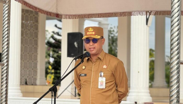 Resmi! Pemkab Rokan Hilir Keluarkan 5 Imbauan Wajib Sambut HUT RI ke-81 dan HUT Riau ke-69