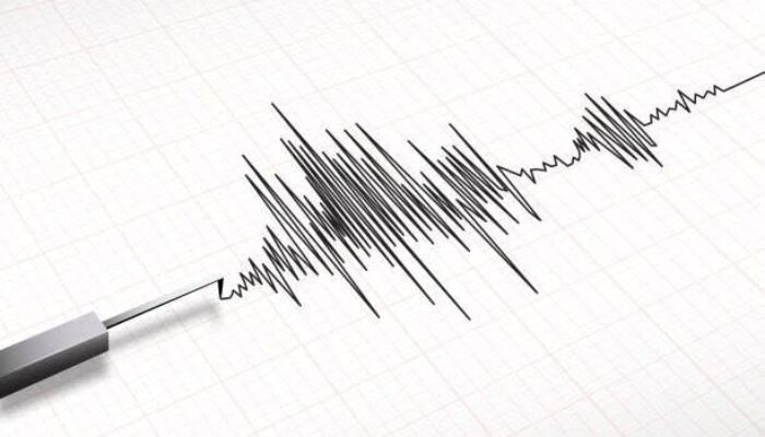 Gempa M3,6 Guncang Mbay Nagekeo NTT, BMKG: Kedalaman 5 Km