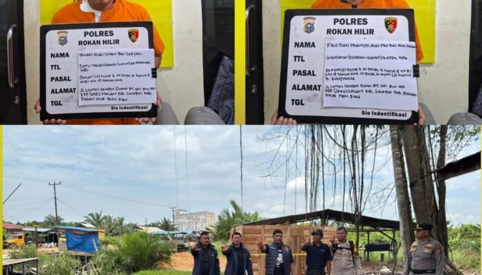 Polres Rokan Hilir Tindak tegas Ilegalloging di Sinaboi, 2 Tersangka Diamankan, Ratusan Batang Kayu Disita