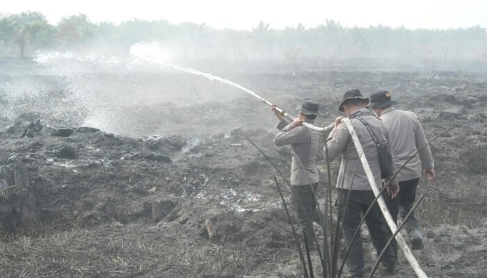 Polda Riau Gunakan X Fire Tangani Karhutla di Lahan Gambut Pelalawan, Hasil Awal Efektif