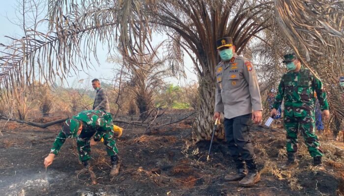 Kapolda-Pangdam Cek Karhutla Siak, Empat Wilayah Riau Jadi Atensi