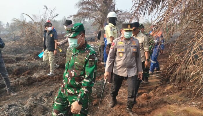 44 Tersangka Karhutla Ditangkap di Riau, Polda dan Kodam Cek Lokasi di Siak