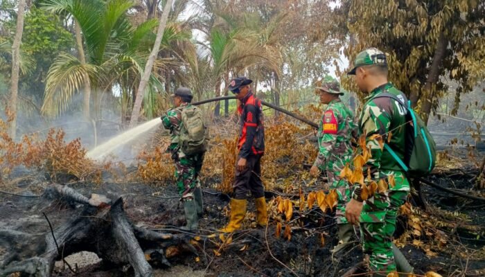 Kodam XIX/Tuanku Tambusai Tangani Karhutla 12 Hektare di Bengkalis dan Kepulauan Meranti
