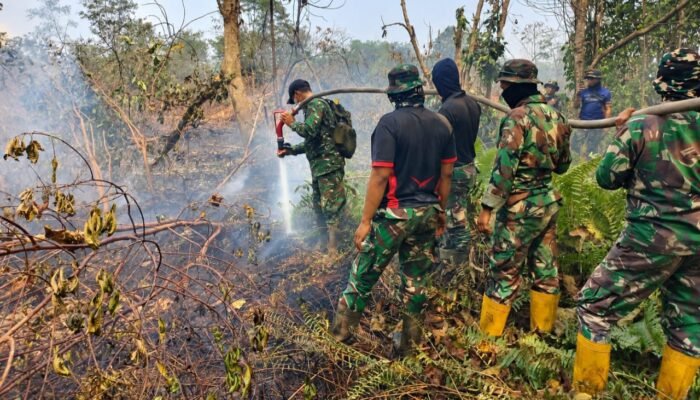 Kodam XIX/Tuanku Tambusai Bergerak di Kuala Cenaku, Pemadaman Karhutla Terus Berlanjut