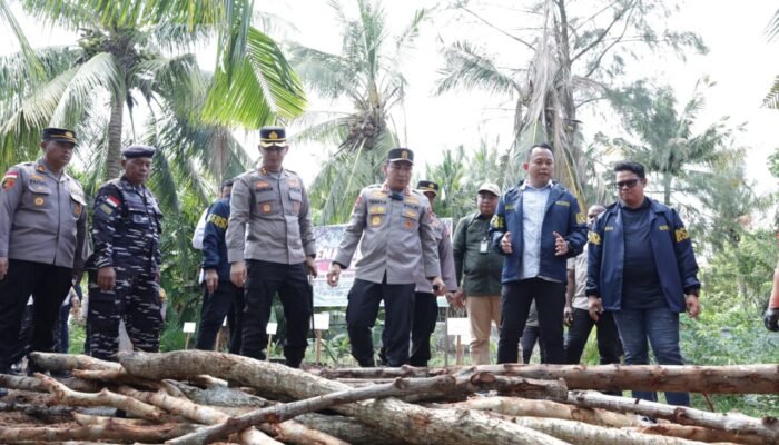 Dapur Arang Mangrove Dibongkar, Polda Riau Tangkap Dua Tersangka di Rupat