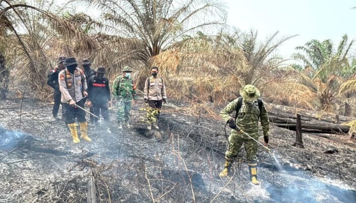 Riau Zero Karhutla, Satgas Tetap Siaga Cegah Api Kembali Muncul