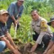 Tanam 210 Pohon, Polsek Rimba Melintang Jalankan Program Green Policing di Tengah Masyarakat