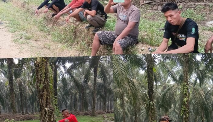 Masyarakat Talang Mamak Minta Satgas PKH Tagih Sanksi Rp200 m dan Terapkan TPPU ke PT SAL di Inhu  ‎