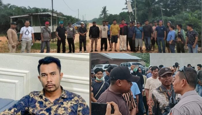‎PT MNI Ingin Kuasai Kembali Kebun Sawit PKH, Kejagung Didesak Usut TPPU  ‎