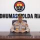 Riau Nihil Karhutla, Satgas Tetap Siaga Cegah Titik Api Kembali Muncul
