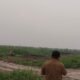 Lebih dari 150 Hektare Kebun Sawit Warga di Sungai Raya Dirusak Ando, Polisi Diminta Segera Tangkap Pelaku  ‎