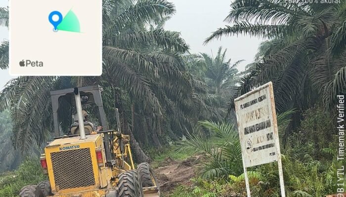 PT SSK Mitra Agrinas Perbaikan Jalan Kebun 11,5 KM, Lancarkan Pengangkutan Produksi TBS   ‎