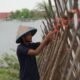 Lahan SAE Rutan Dumai Kembali Ditanami Kacang Panjang Dukung Ketahanan Pangan
