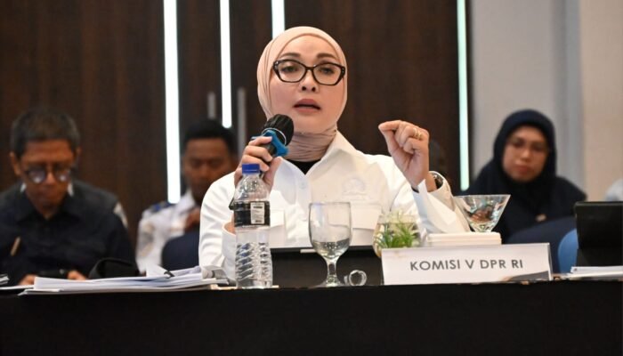 27 Titik Longsor Trans Jayapura-Wamena Erna Sari Dewi Tanya Audit Geoteknik