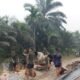 Sinergi Tanpa Batas, Satgas TMMD Ke-130 Kodim 0314/Inhil dan Warga Kuala Lemang Gesesa Pembangunan Jalan