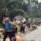 Wujudkan Kemanunggalan, TNI dan Warga Kompak Kerjakan Semenisasi Jalan 1 KM di Desa Kuala Lemang
