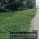 Pencurian Kabel Listrik 400 Meter di Junjangan Parit 9 Batang Tuaka Tidak Benar, Kabel Masih Hidup dan Terpasang Utuh