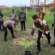 Green Policing — Polres Rohil Tanam Pohon, Wujud Kepedulian Terhadap Kelestarian Lingkungan