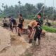 Pacu Pembangunan Desa, Kodim 0314/Inhil Gesa Pengerjaan Jalan TMMD ke-130 di Keritang