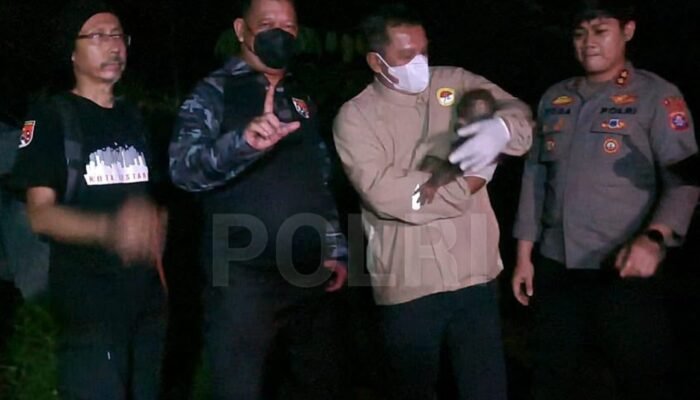 Polri Bersama Tim Gabungan Selamatkan Induk dan Anak Orang Utan di Kotawaringin Timur dari Ancaman Karhutla