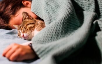 Amankah Tidur Bersama Kucing Kesayangan? Ini Penjelasan Ahli
