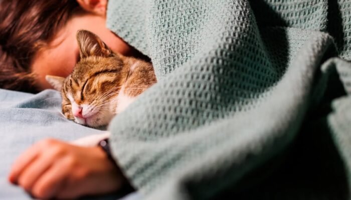 Amankah Tidur Bersama Kucing Kesayangan? Ini Penjelasan Ahli