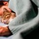 Amankah Tidur Bersama Kucing Kesayangan? Ini Penjelasan Ahli